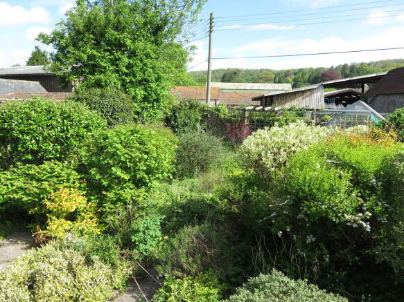Photo 15