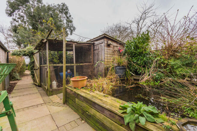 Garden Pond