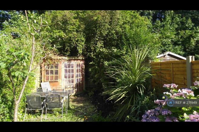 Back Garden