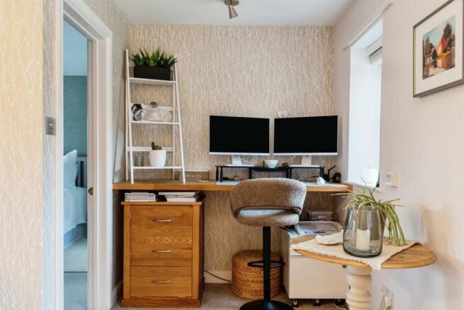 STUDY AREA