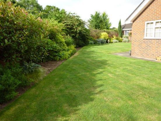 Garden (Aspect 1)