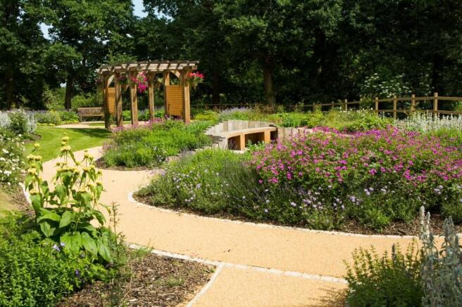 Sensory Garden