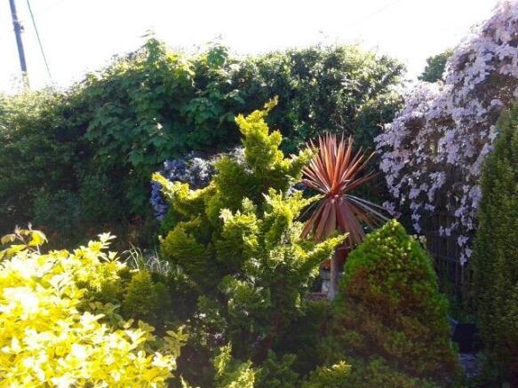 SIDE GARDEN