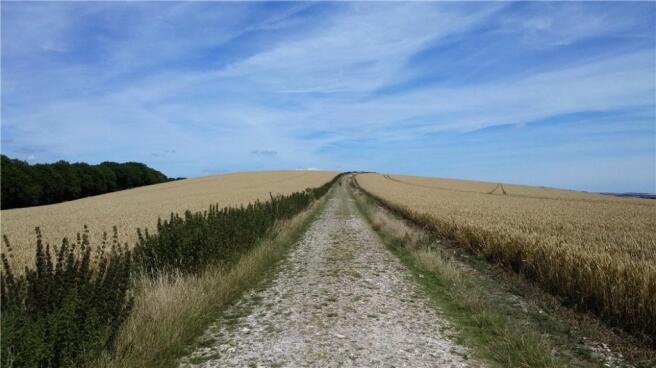 South Downs