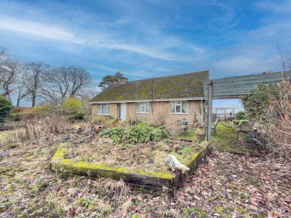 IMG 0476 T202601141937.jpg