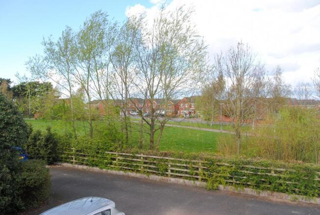 DSC_0833.jpg