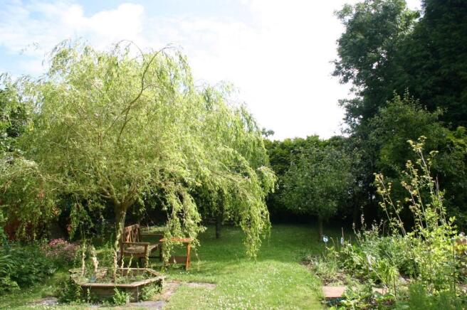 Rear of Garden