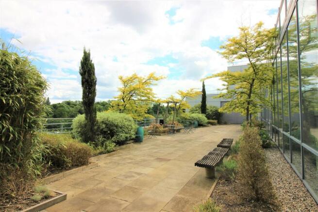 Roof Top Garden