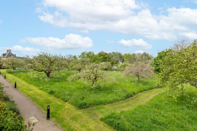 Orchard View