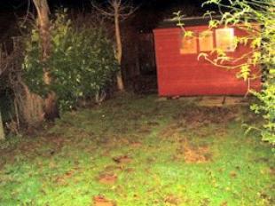 Back Garden