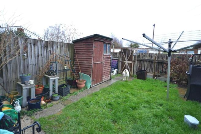 Garden .JPG