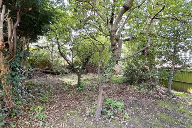 Garden Orchard