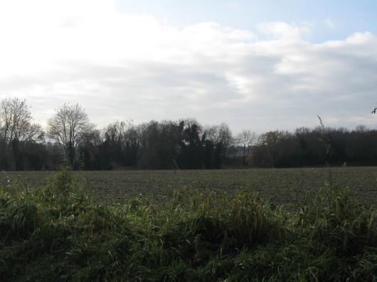 Nearby Countryside