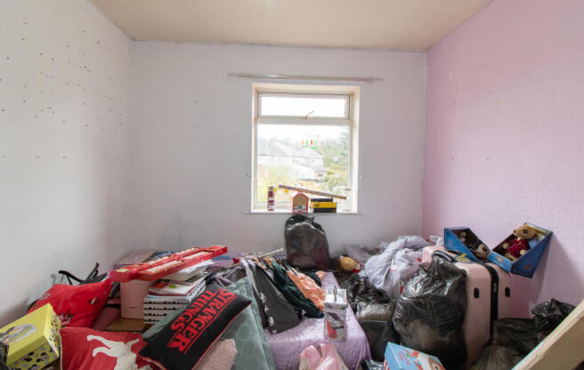 IMG 0352 T202504121118.jpg