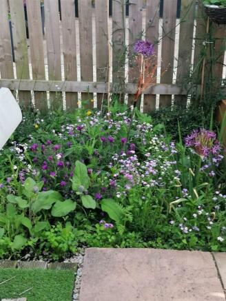 Wild Planted Boarders