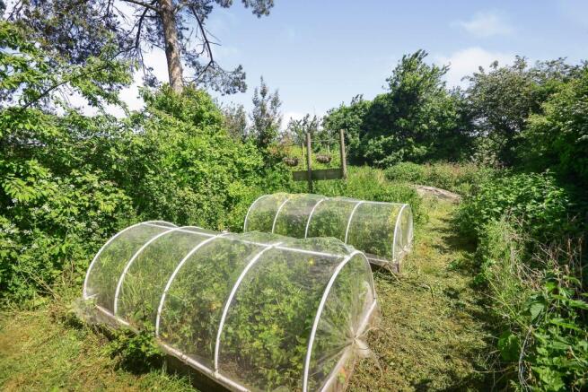 Allotment
