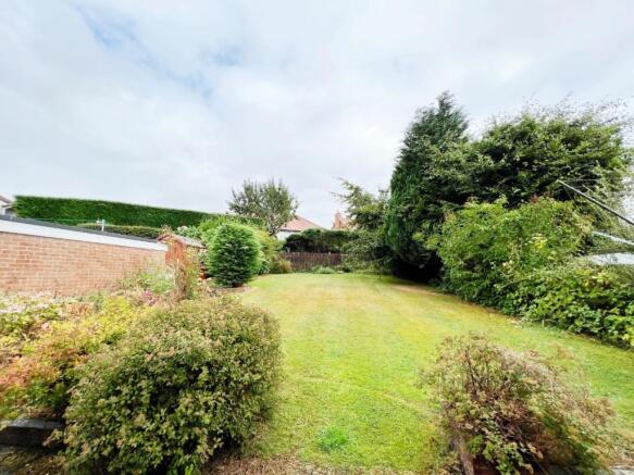 Garden 3.jpg
