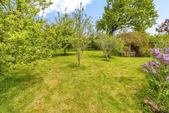 Orchard