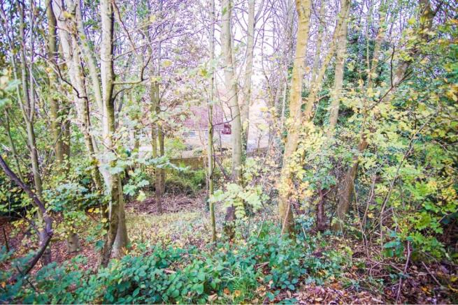 Woodland