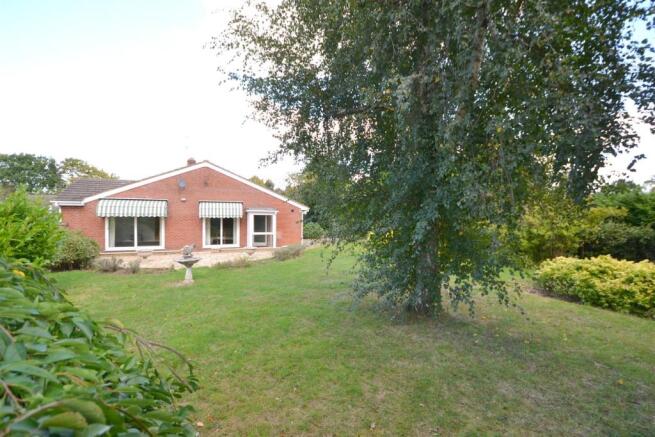 DSC_0349.JPG