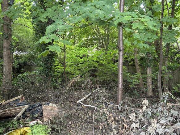 Photo 22