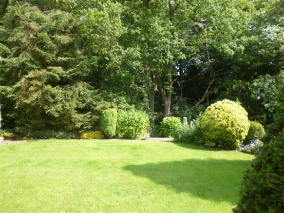 Shaped Lawn