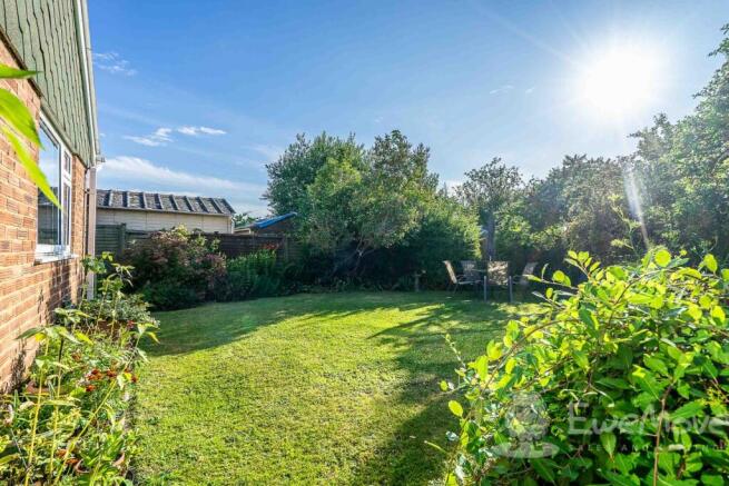 Back Garden
