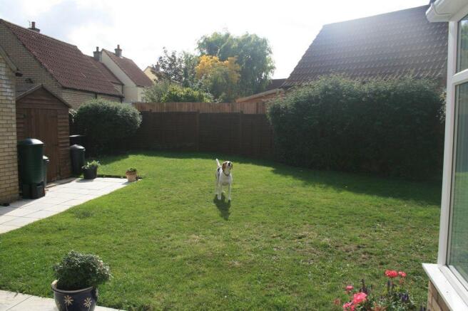 Photo 11