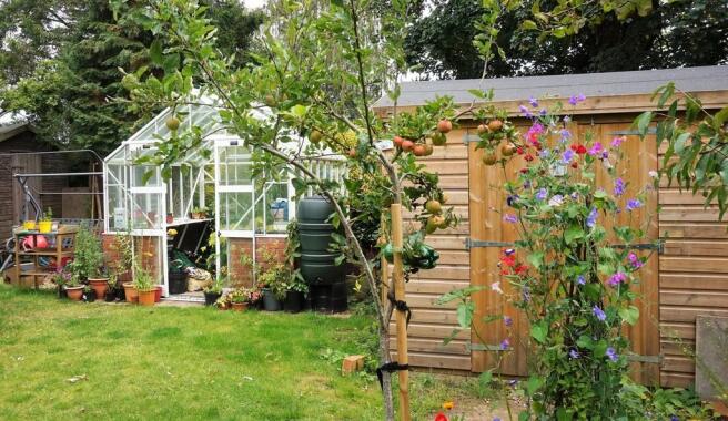The Potting Area