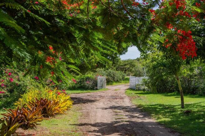 driving access