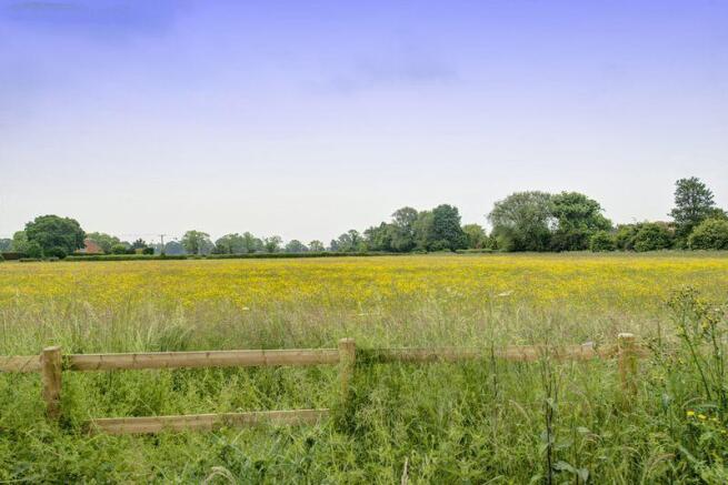 Countryside Views