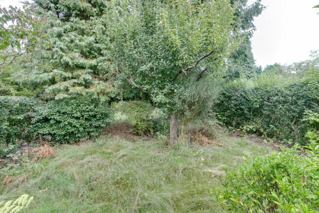 Garden - Aspect 2