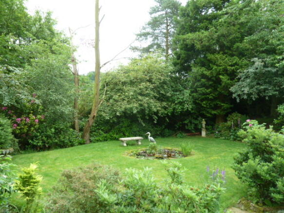 Photo 9
