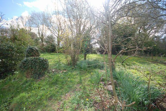 Grounds