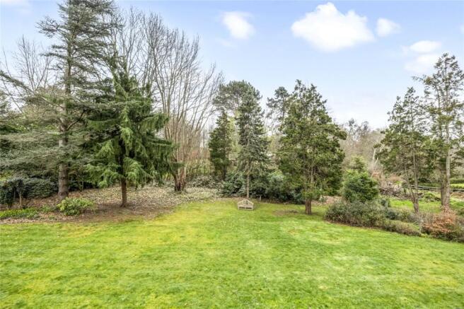 Wooded Garden