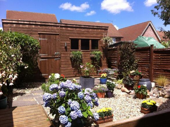 Garden in the summer