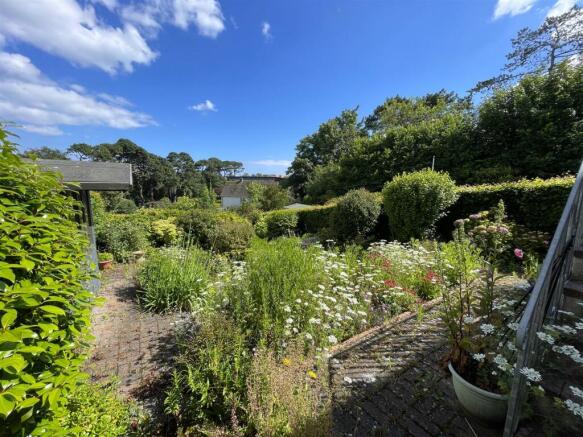 Garden 4.JPG