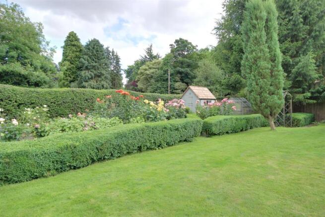 Rose Garden