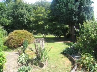 Garden 2