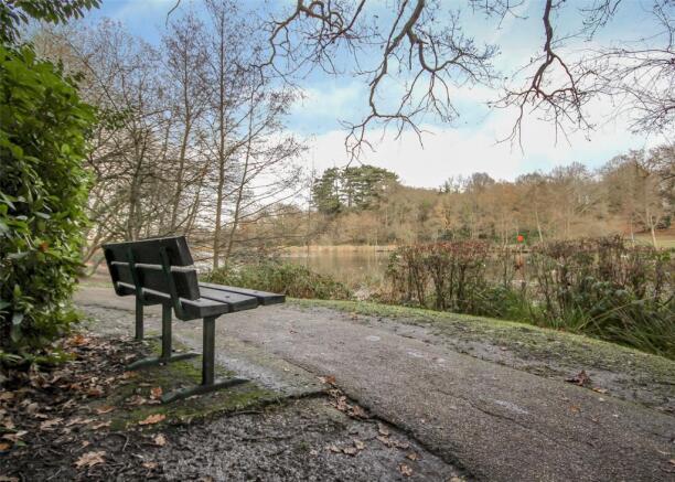 Mill Pond