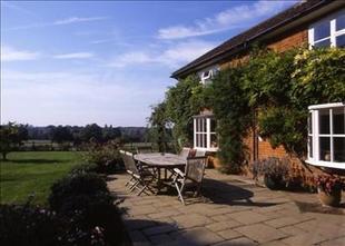 Rear Patio & View