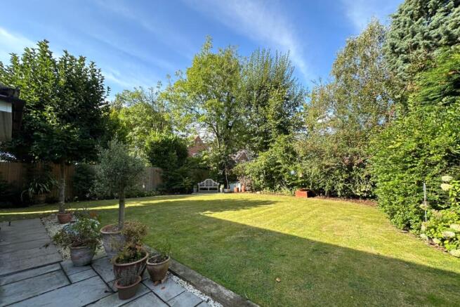 Back Garden