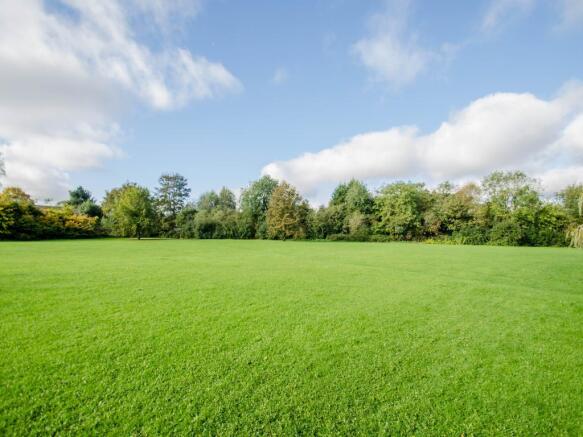 Image 15