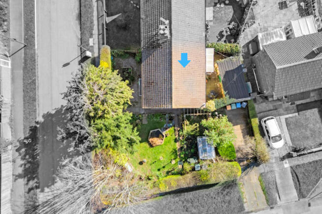 Untitled design (1).jpg