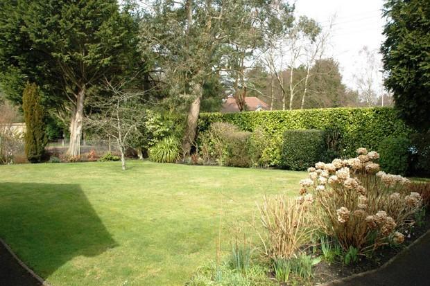 Front garden