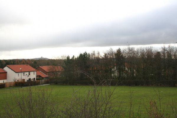 View from window