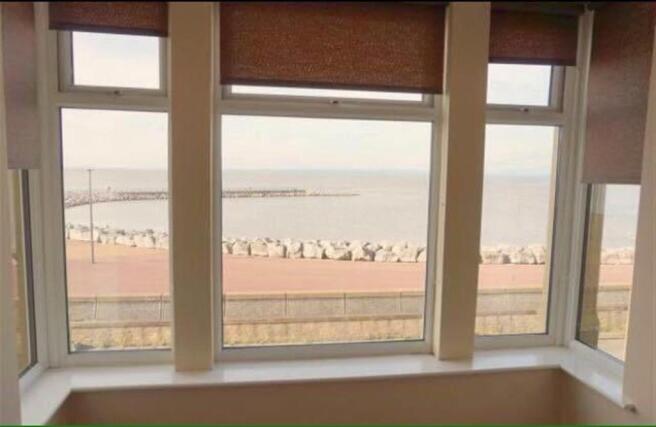 Bay Window