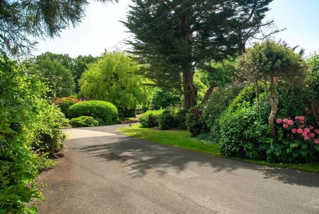 Driveway