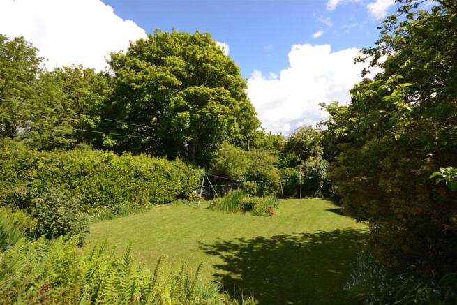 Garden.JPG