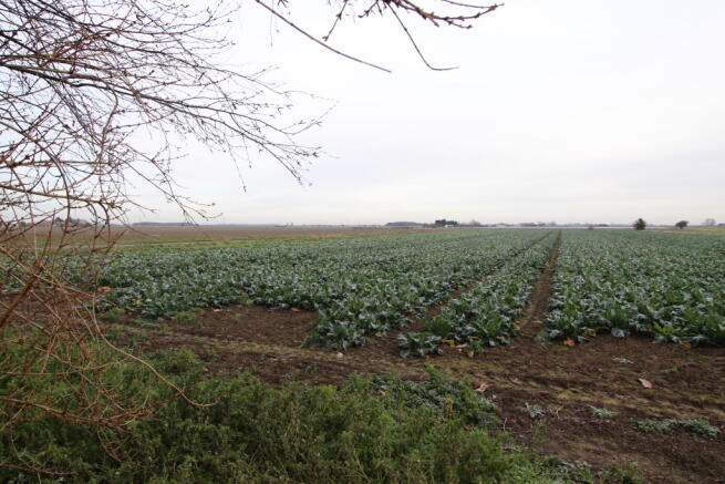 IMG_1765.JPG